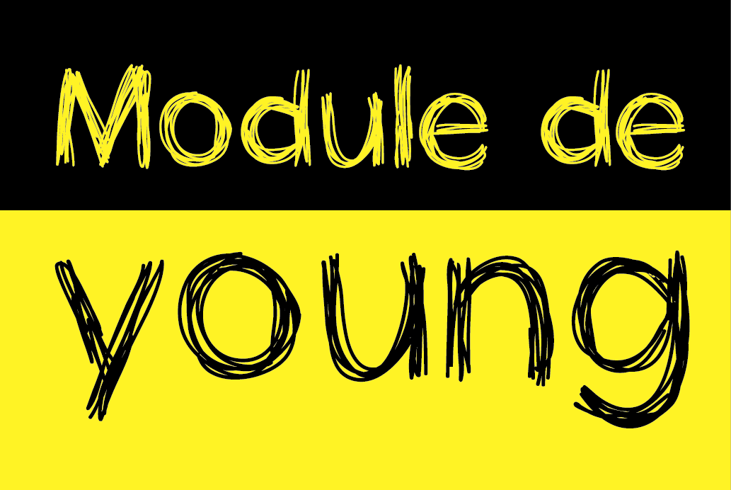 Module De Young Cours Btp
